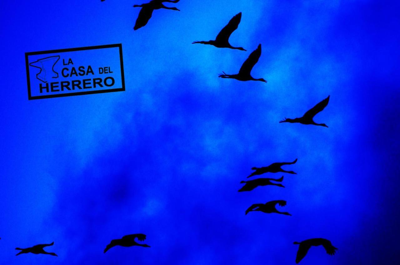 La Casa Del Herrero El Poyo المظهر الخارجي الصورة